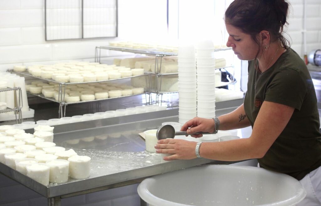 Fromagerie de Lorgues - Producteur - la Ferme de la Tremblaye